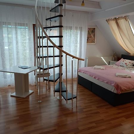 Pension Donaublick Grein 2 In Stifterstrasse19. Apartment ภายนอก รูปภาพ