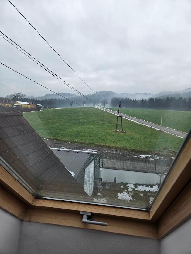 Pension Donaublick Grein 2 In Stifterstrasse19. Apartment ภายนอก รูปภาพ