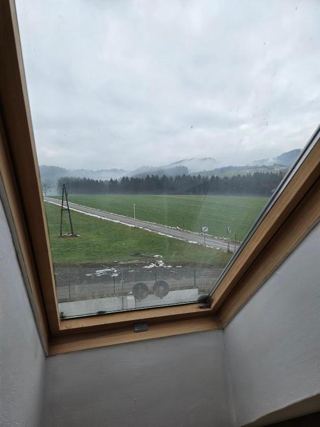 Pension Donaublick Grein 2 In Stifterstrasse19. Apartment ภายนอก รูปภาพ
